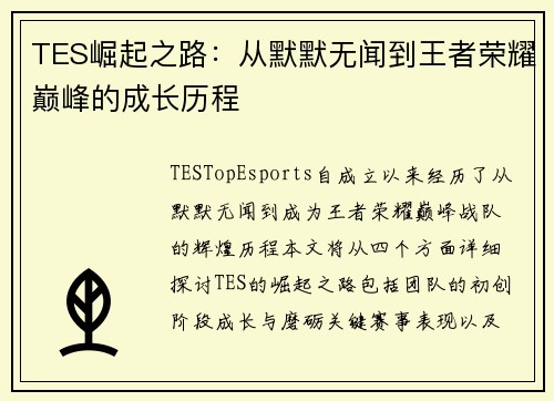 TES崛起之路：从默默无闻到王者荣耀巅峰的成长历程