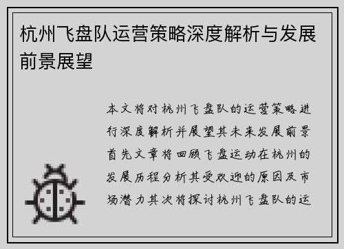 杭州飞盘队运营策略深度解析与发展前景展望